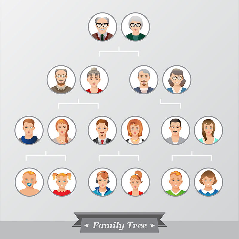 Fiche pédagogique Nathan Lea.fr, arbre généalogique