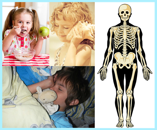 enfant corps humain schéma