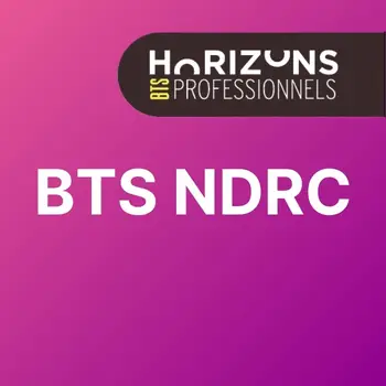 Horizons Professionnels BTS NDRC