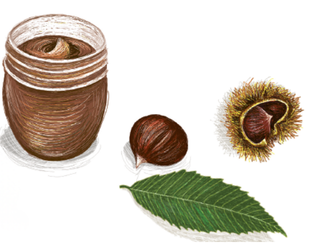 MARRONS