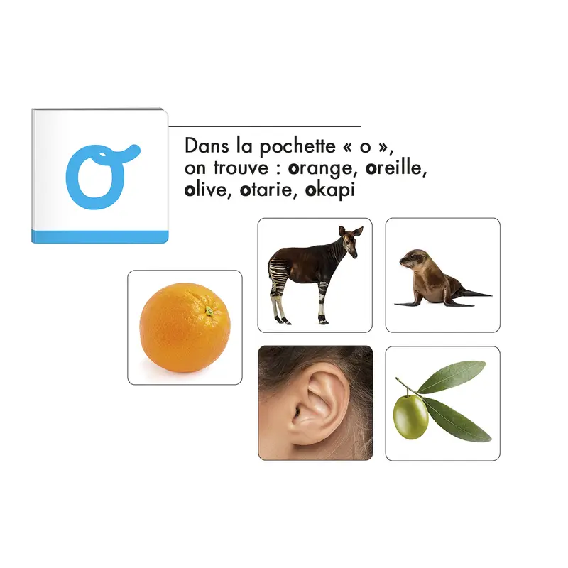 Activités de phonologie - Coffret pédagogique - 3133091251666 - 