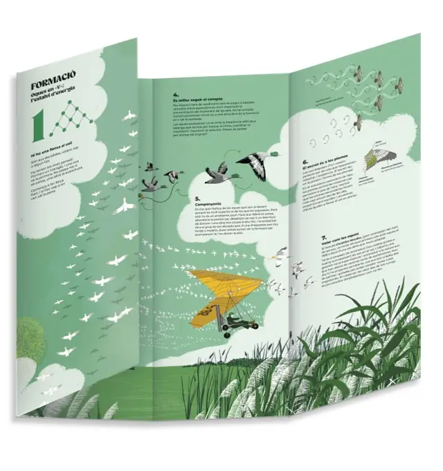 Chorégraphies animales - Pour découvrir les migrations et les ballets les plus spectaculaires de la nature - Dès 7 ans et beaucoup plus - Livre documentaire - 9782095057855 - animé 01