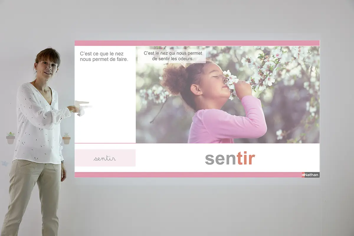 Apprentilangue - Rituels de vocabulaire GS - Coffret pédagogique - 9782091251400 - 