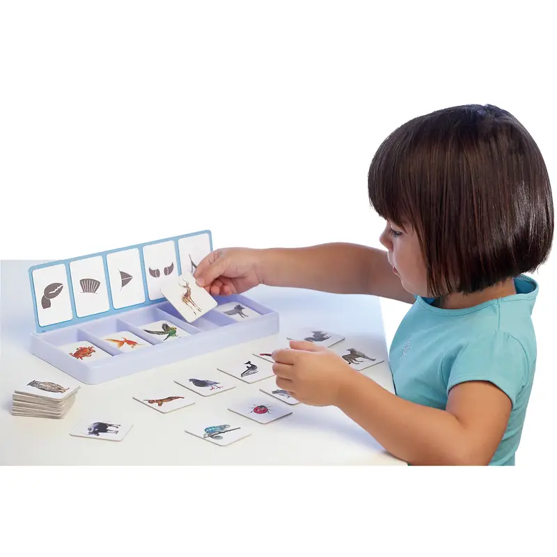 Atelier Tris - Les animaux - Atelier - 3133093051806 - 