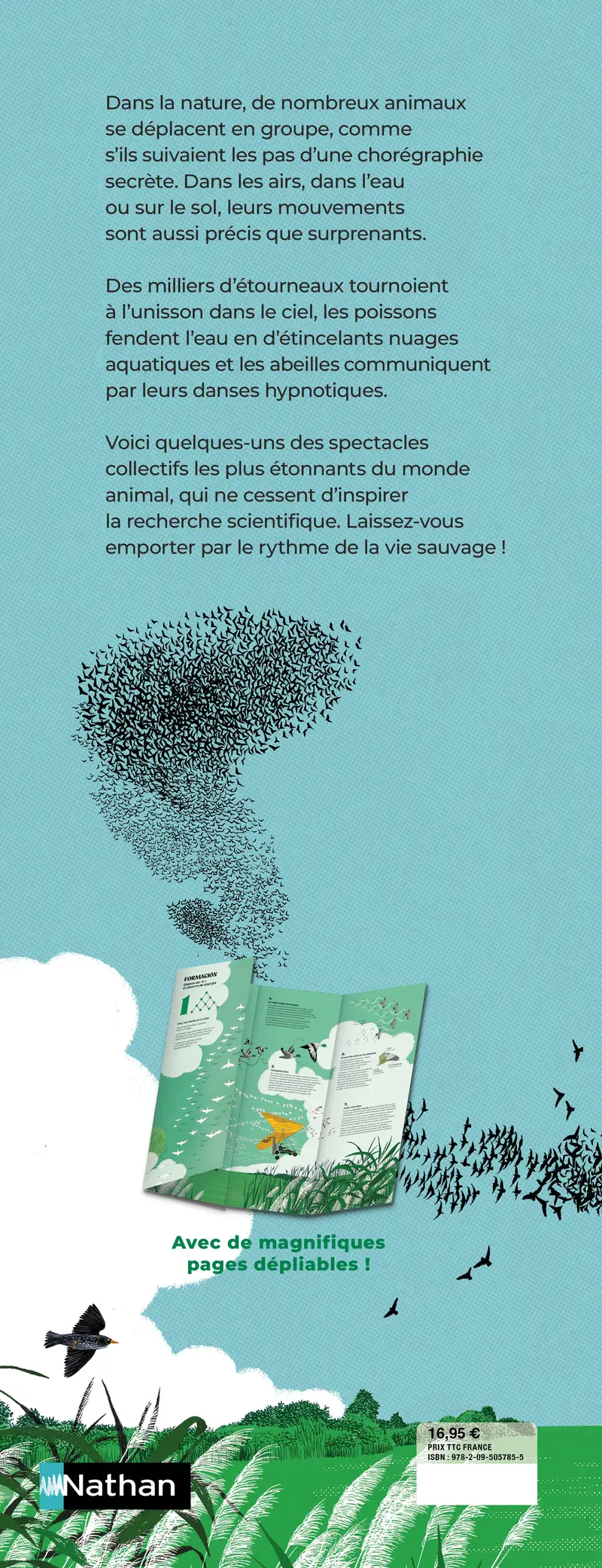 Chorégraphies animales - Pour découvrir les migrations et les ballets les plus spectaculaires de la nature - Dès 7 ans et beaucoup plus - Livre documentaire - 9782095057855 - Couverture verso