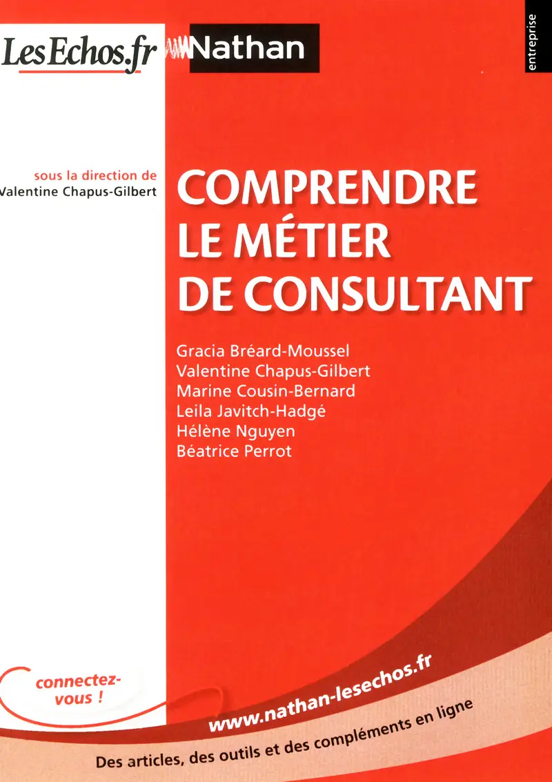Comprendre le métier de consultant - Livre - 9782091617794