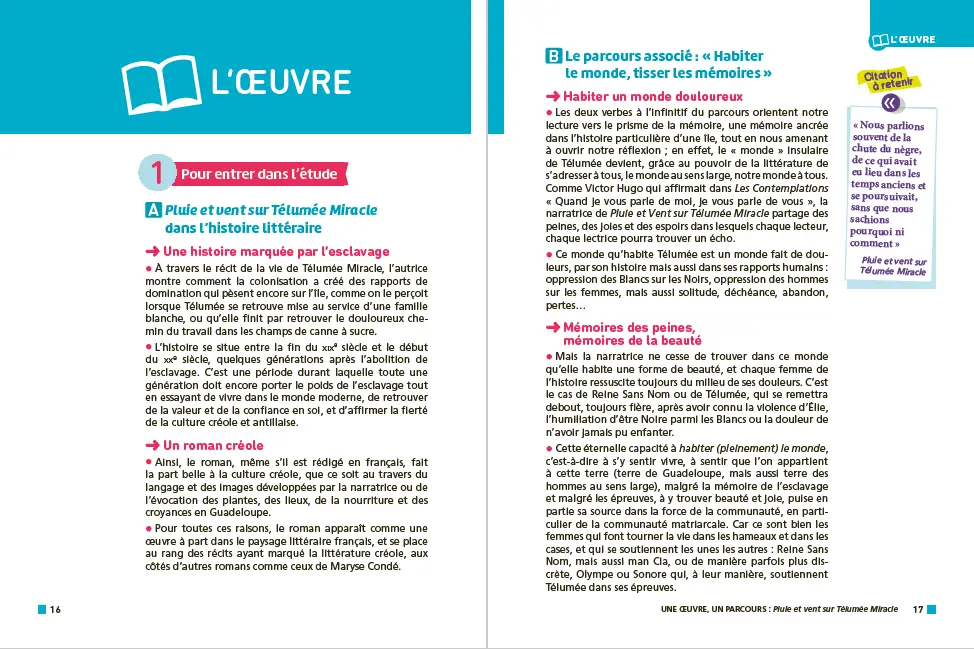 Analyse et étude de l'oeuvre - Pluie et vent sur Télumée Miracle, S.Schwarz-Bart - Réussir son BAC Français 1re 2027 - Parcours associé «Tisser les mémoires, habiter le monde » Une oeuvre, un parcours - Classique pédagogique - 9782095064433 - DP l'oeuvre