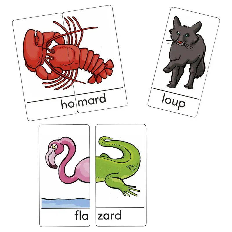 Educartes - Animots - Jeu - 3133093880864 - 