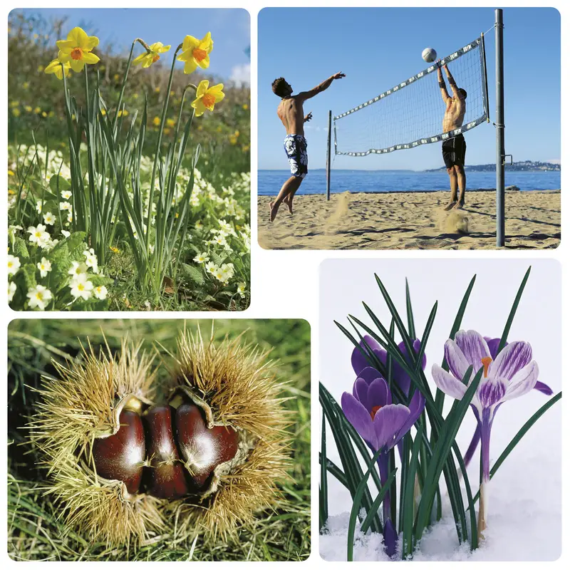 Imagier photos - Les saisons - Boîte imagier - 3133093421968 - CATALOGUE