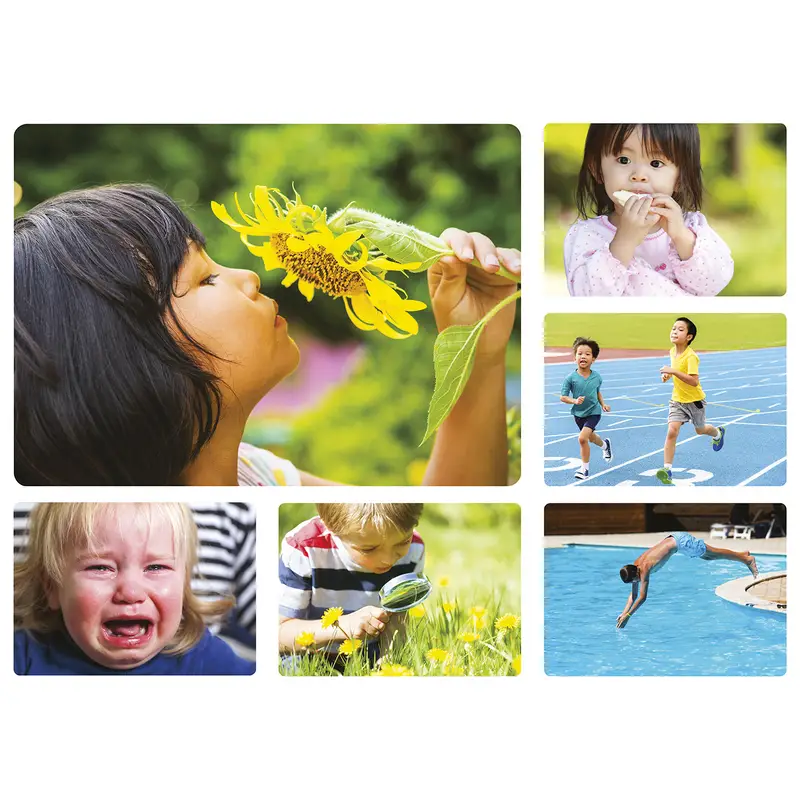 Imagier photos - Les verbes - Boîte imagier - 3133093428134 - 