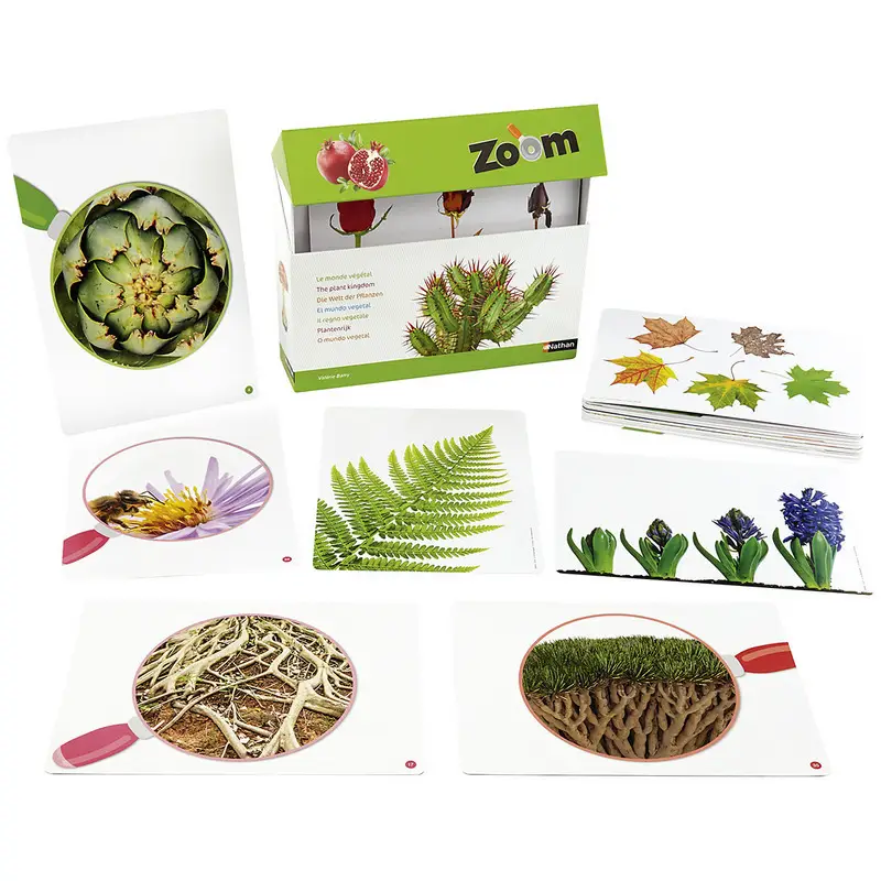 Imagier Zoom - Découvrir le monde végétal - Boîte imagier - 3133093422965 - 