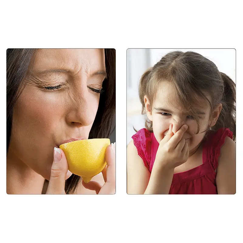 Jeux des 5 sens - Atelier - 3133093360311 - 