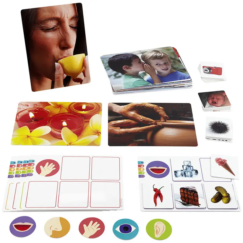 Jeux des 5 sens - Atelier - 3133093360311 - 