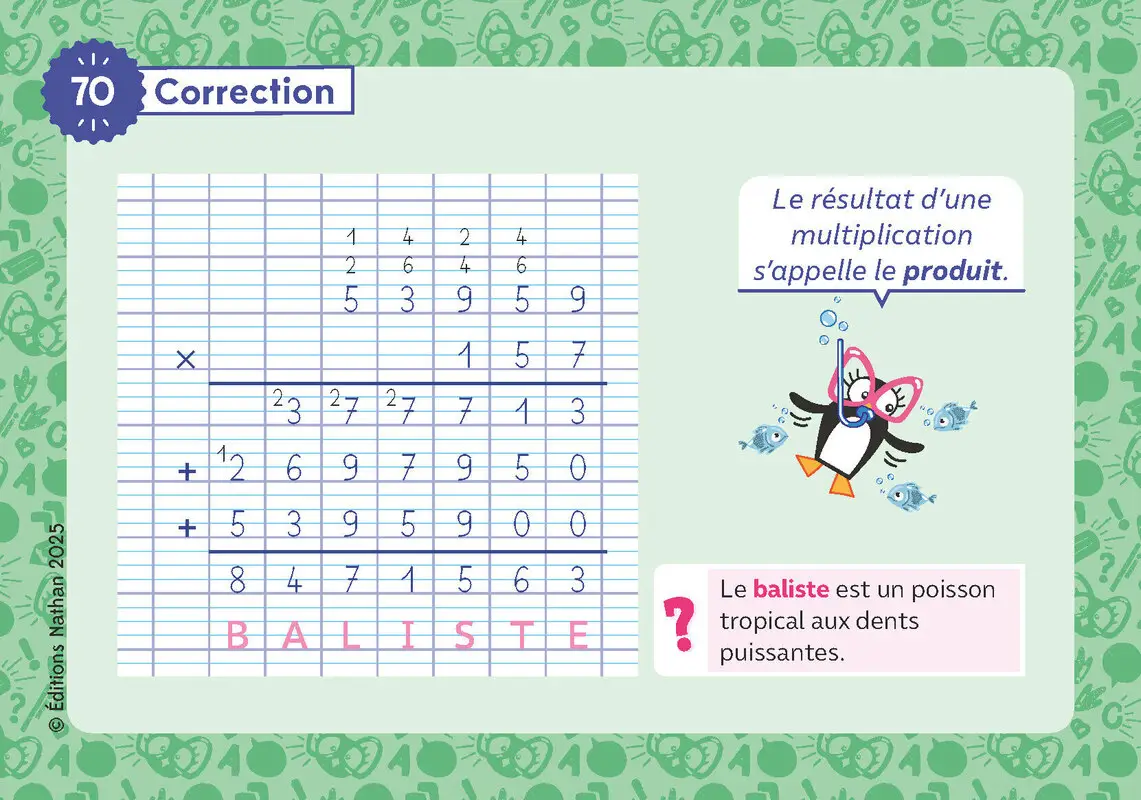 Les ceintures de Charivari CM - Calcul posé - Matériel collectif - 3133099134824 - 