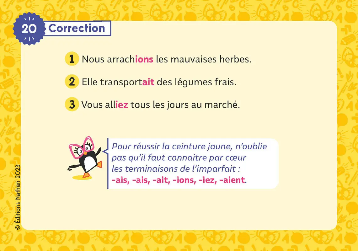 Les ceintures de Charivari CM - Conjugaison - Matériel collectif - 3133099089247 - 