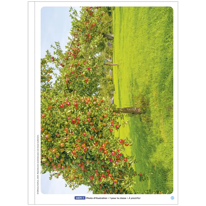 Les défis MHM - Au fil des saisons MS/GS - Fichier de l'élève - 9782095033750 - 