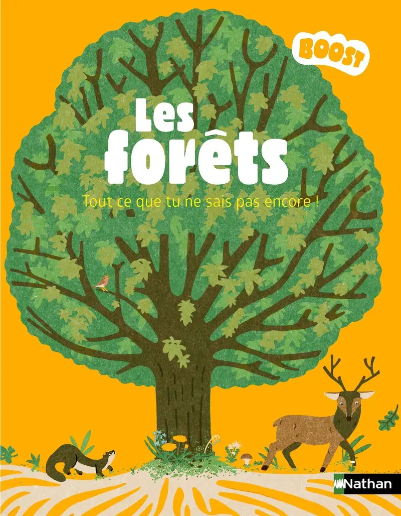 Les forêts - Tout ce que tu ne sais pas encore ! - Un album documentaire BOOST - à découvrir dès 7 ans - Livre documentaire - 9782095062422