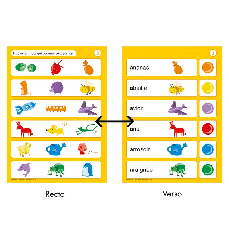 Logico Primo - Phonologie MS - Jeu - 3133093880499 - 