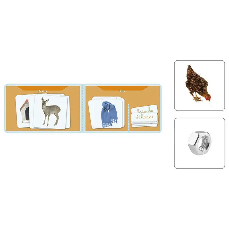 Mots à écrire et Mots à lire 3 - Digrammes  - Coffret pédagogique - 3133091251727 - 