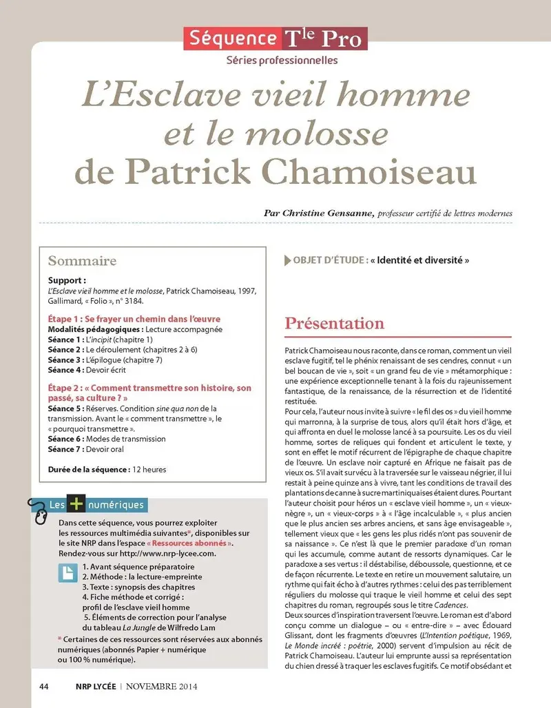 NRP Lycée - Séquence Bac Pro Tle - L'Esclave vieil homme et le molosse - Novembre 2014 (Format PDF)  -  - 9782091117133