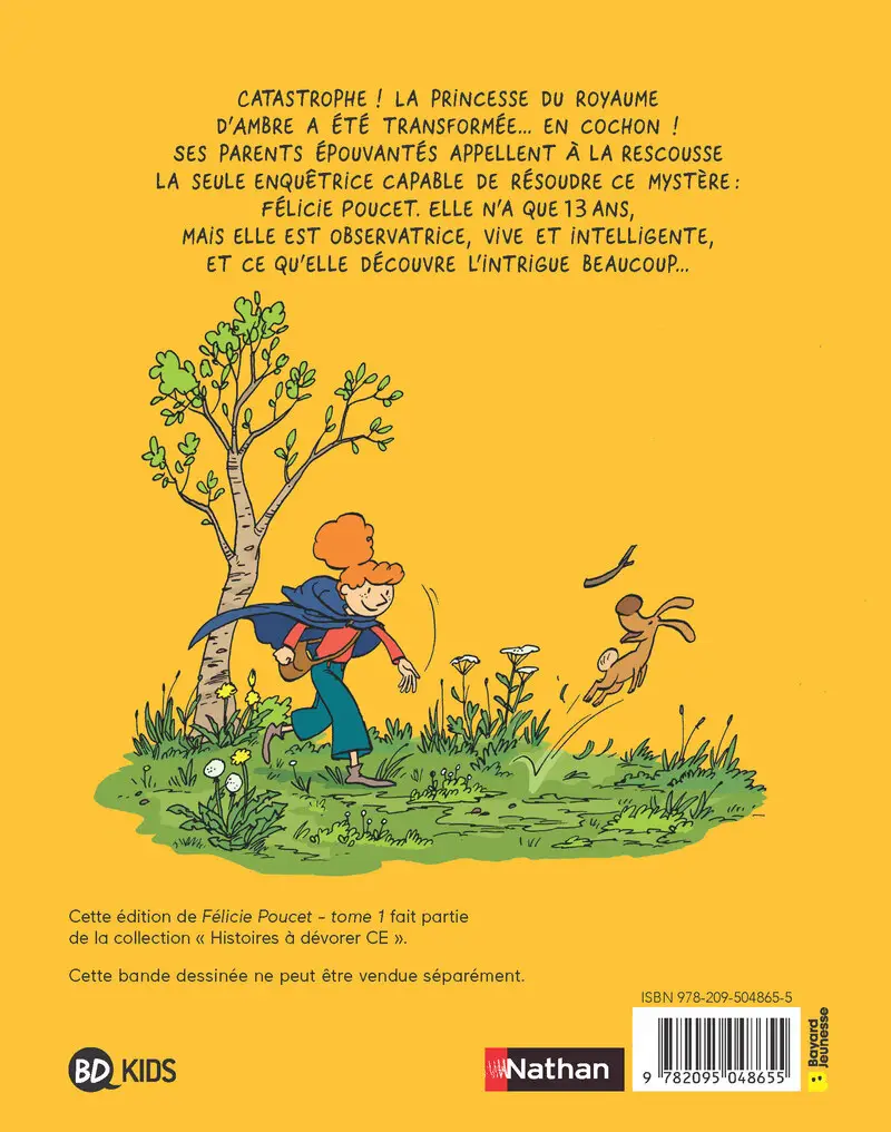 Pack de 5 - Félicie Poucet : Mystère au château d'Ambre - Albums - 3133099141648 - Couverture verso