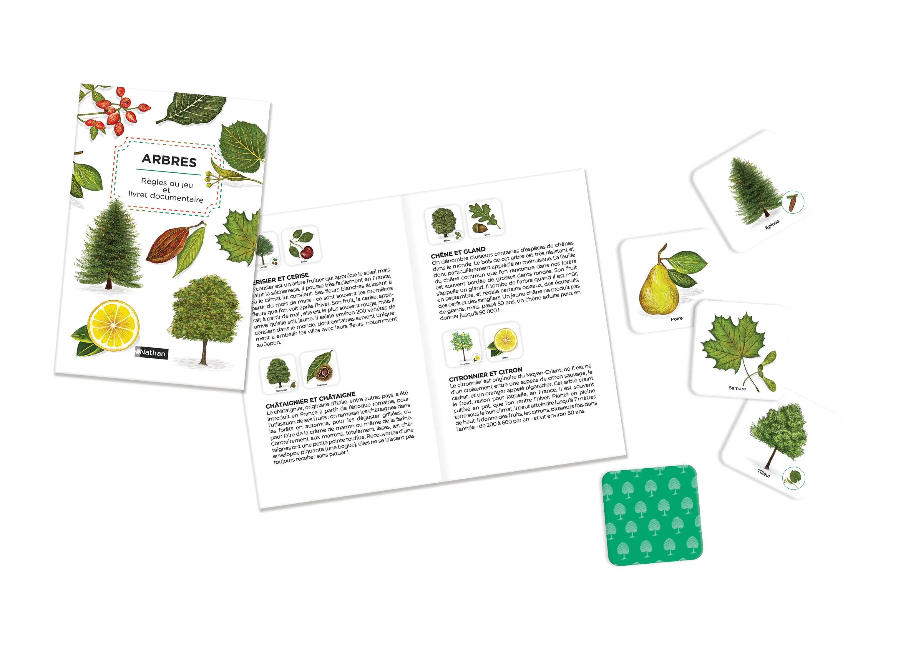 Mémo des arbres - Un jeu de memory pour apprendre en s'amusant en famille - Dès 4 ans - Coffret - 3133092791239 - page-interieure 00