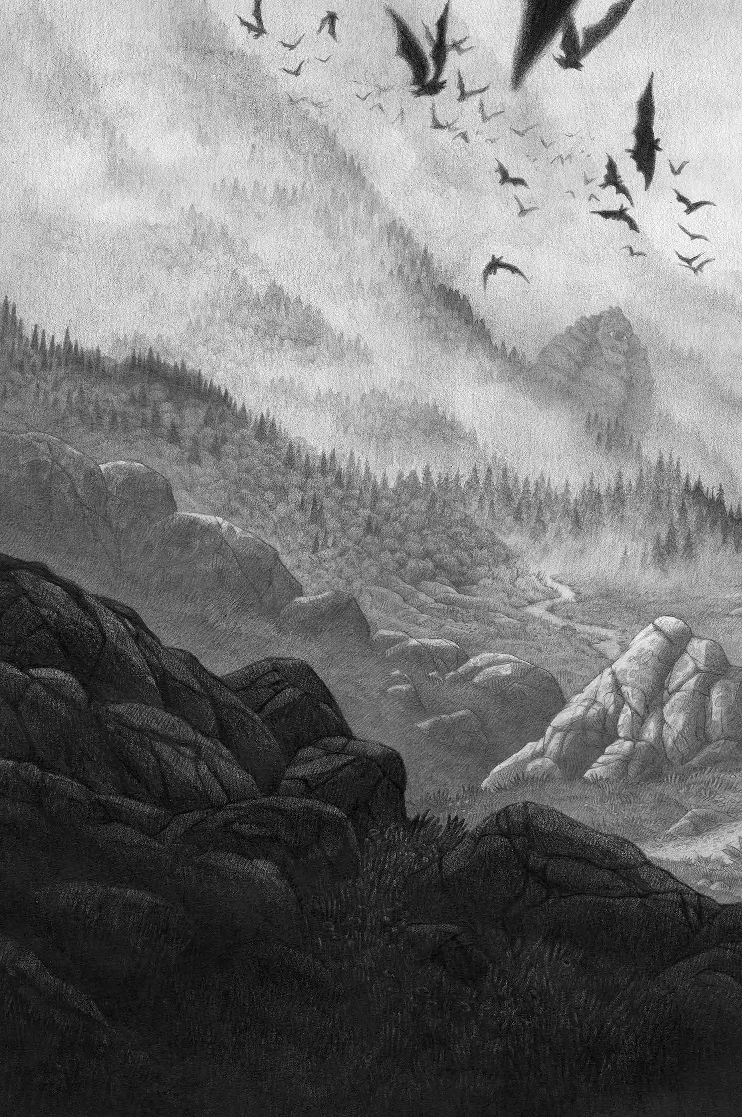 L'héritier des fées - Une fantasy historique au coeur des châteaux cathares - Roman - 9782095037949 - page-interieure 00