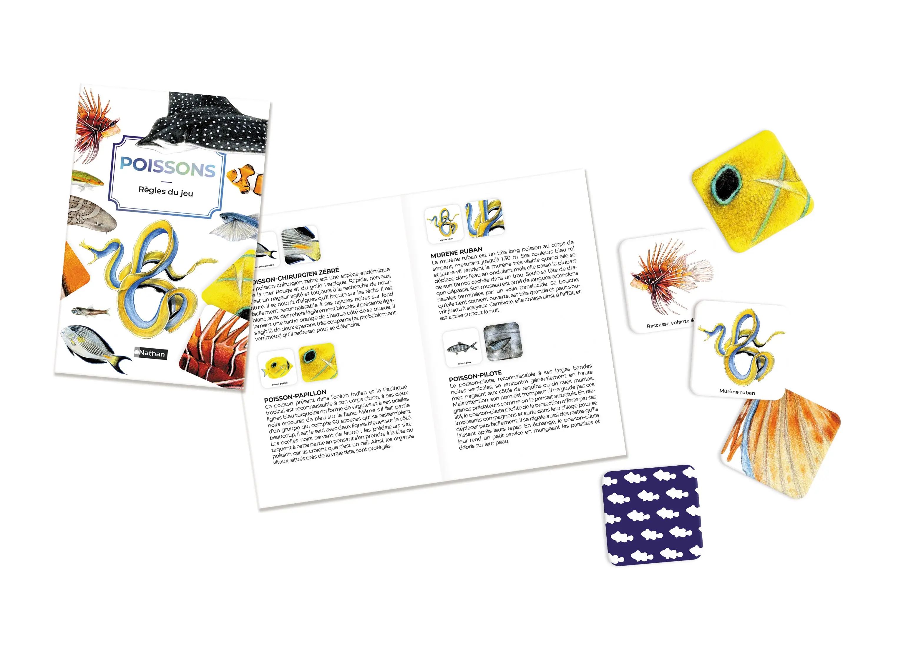 Mémo des poissons - Jeu éducatif 3 niveaux avec livret documentaire - 60 cartes - Dès 4 ans - Coffret - 9782095043162 - page-interieure 00