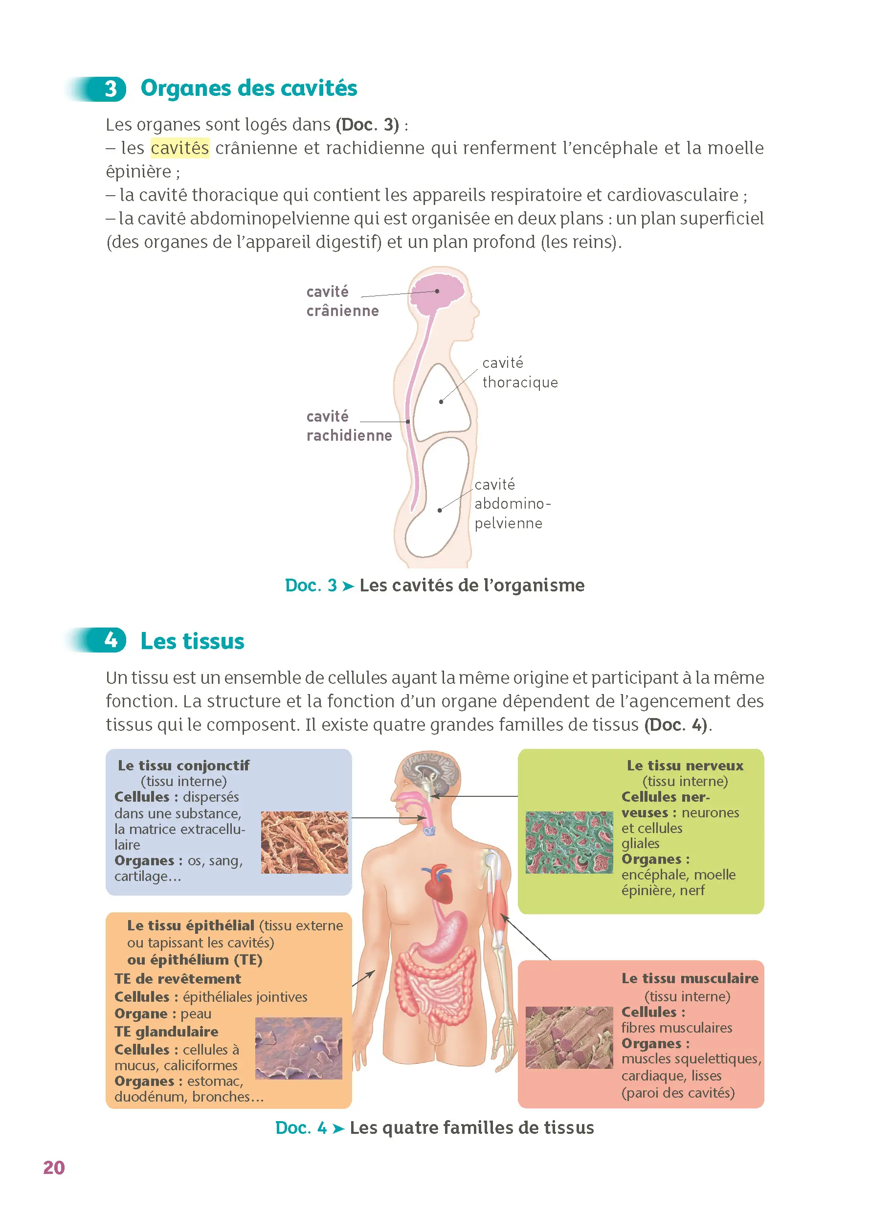 Bac ST2S - Spécialité Chimie, Biologie et Physiopathologies Humaines 1re/ Term - Cours & Exercices Corrigés- Réflexe -  - 9782095053734 - page intérieure 002