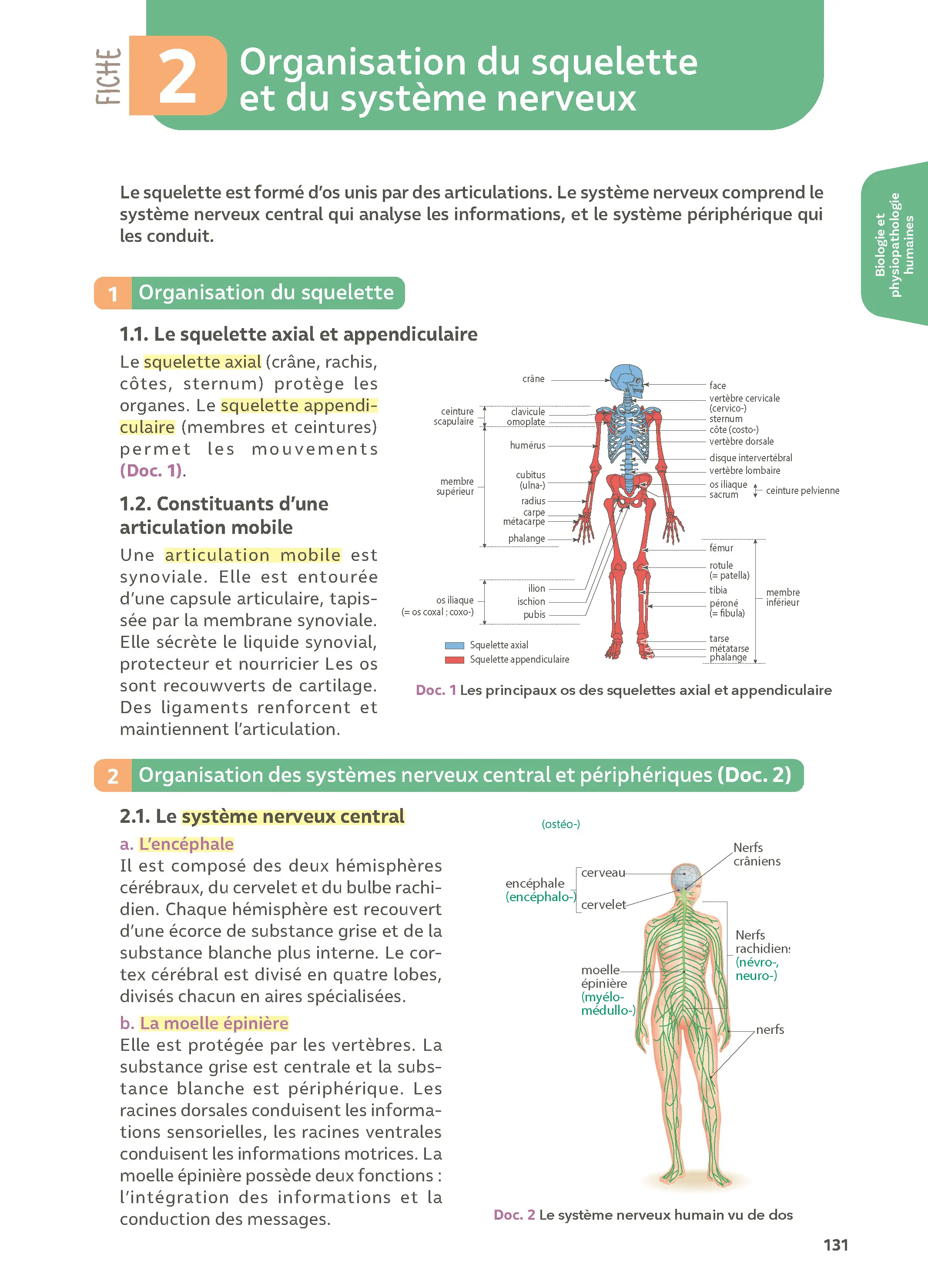 Bac ST2S 1re et Tle - Toutes les matières - Réflexe - 2026 -  - 9782095053628 - page intérieure 003