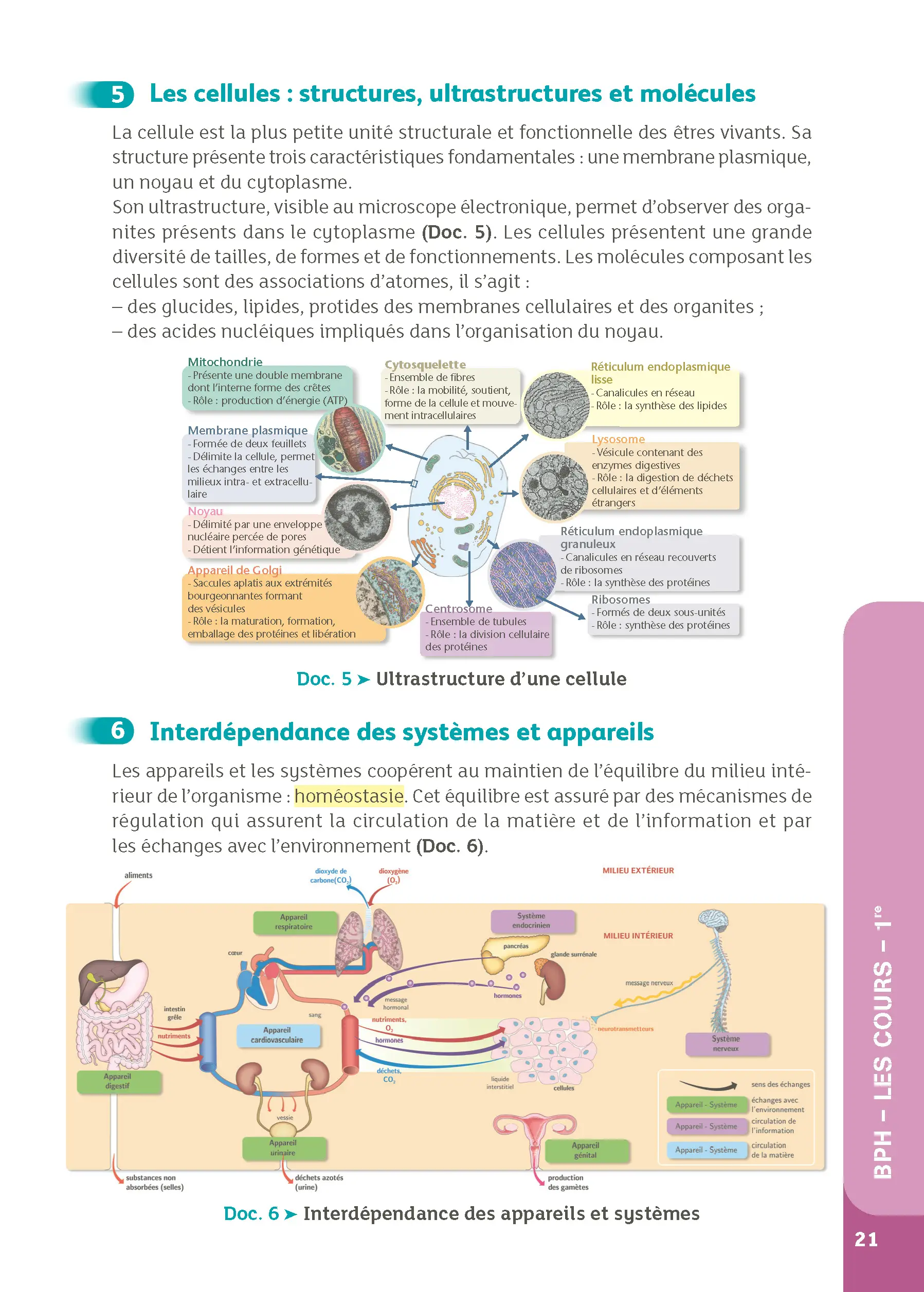 Bac ST2S - Spécialité Chimie, Biologie et Physiopathologies Humaines 1re/ Term - Cours & Exercices Corrigés- Réflexe -  - 9782095053734 - page intérieure 003