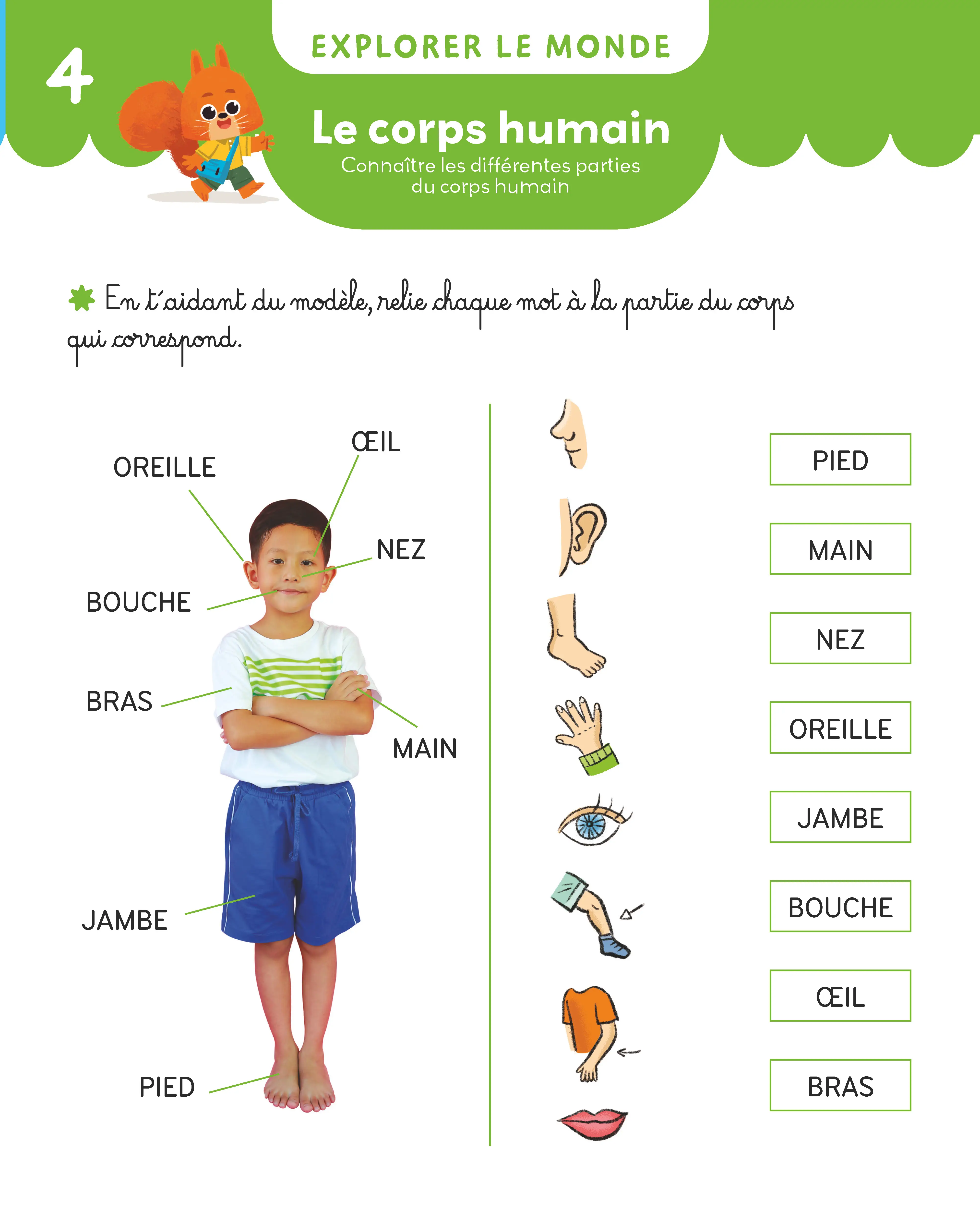Mon Cahier Maternelle - Moyenne section 4-5 ans - Apprentissage complet avec autocollants - lecture, écriture, maths et initiation anglais - Cahier d'exercices - 9782095047283 - page intérieure 004