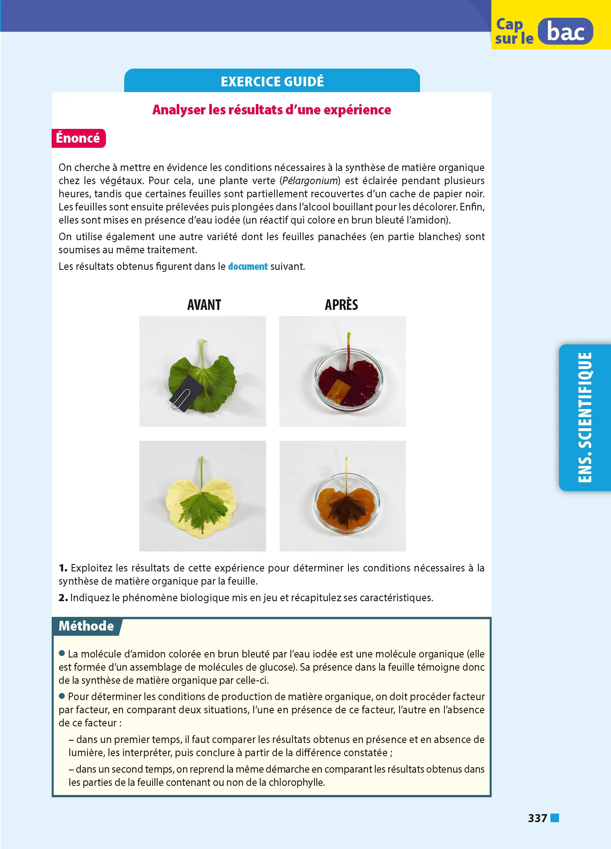 ABC Tout en un 1re - Toutes les matières du tronc commun Première 2026-2027 - Français, Enseignement scientifique et Maths, Histoire-Géographie, Anglais, Espagnol - Livre de cours, méthode et exercices - 9782095063825 - page intérieure 005
