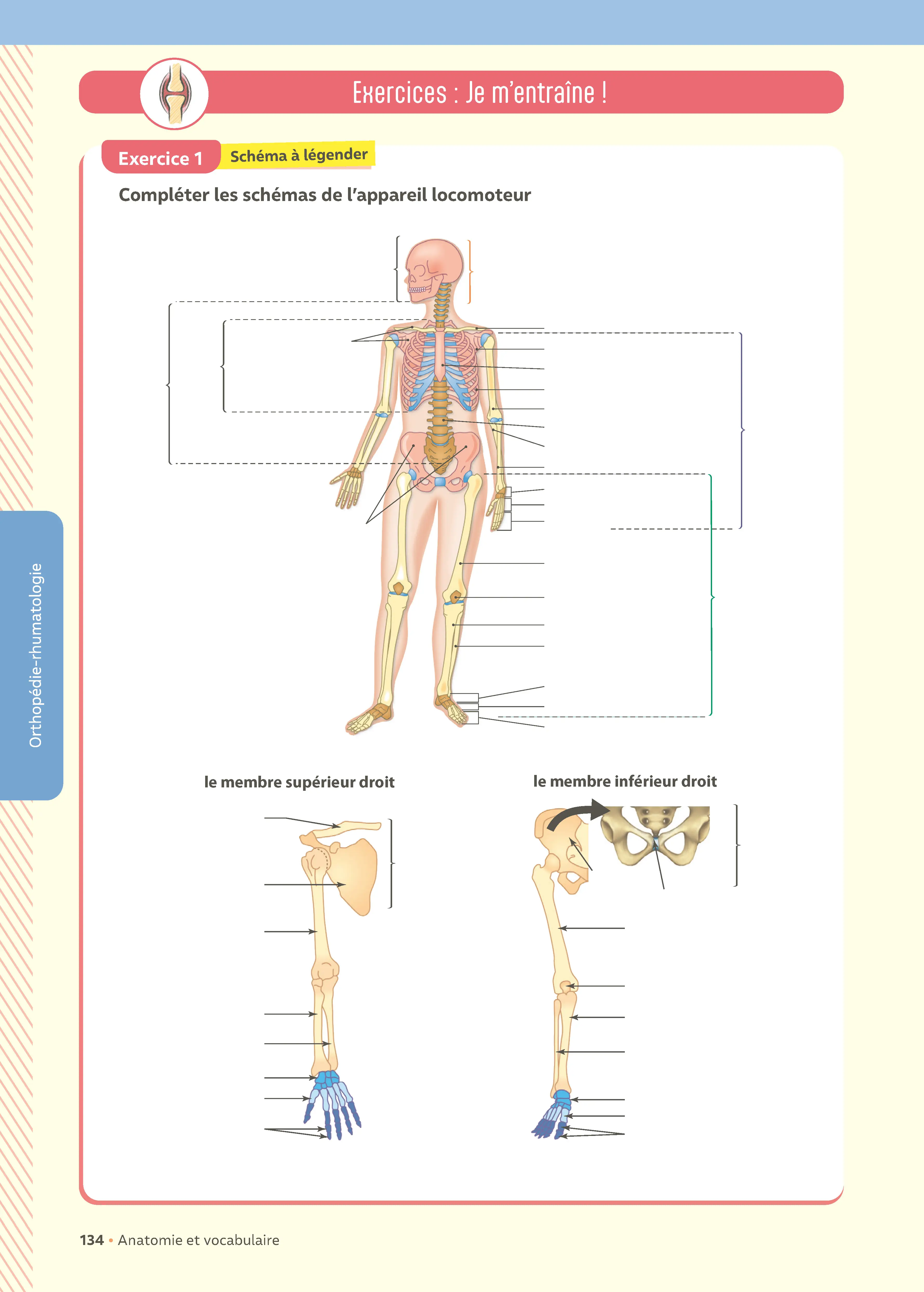Mon carnet de vocabulaire médical - Métiers de la santé - 2 000 définitions, exercices, anatomie, terminologie médicale et flashcards - Livre - 9782095072223 - page intérieure 005