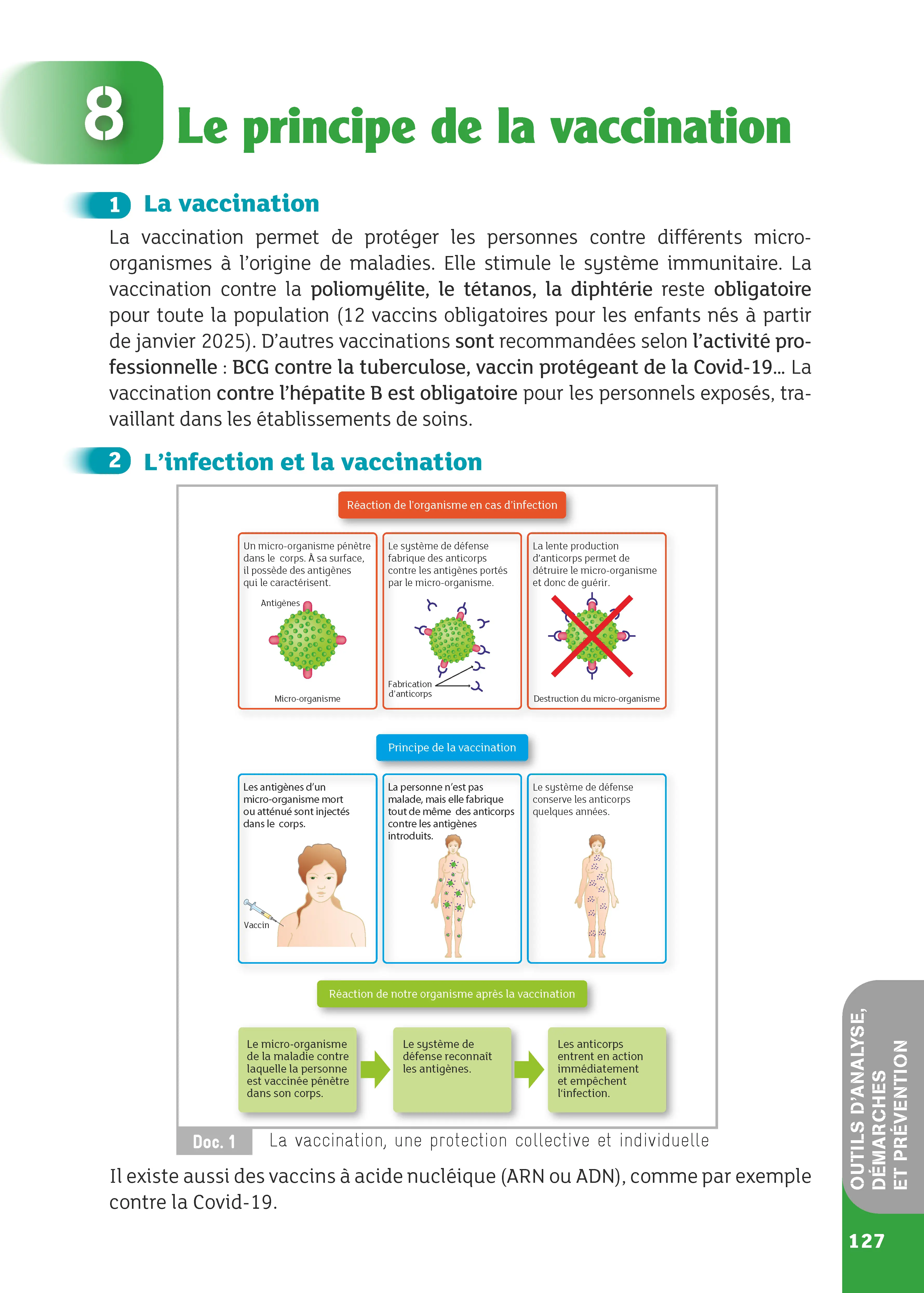 Réussir le CAP AEPE - PSE Prévention Santé Environnement - Préparation complète à l'épreuve PSE - Cours, tests, exercices corrigés et secourisme - Livre - 9782095072193 - page intérieure 006