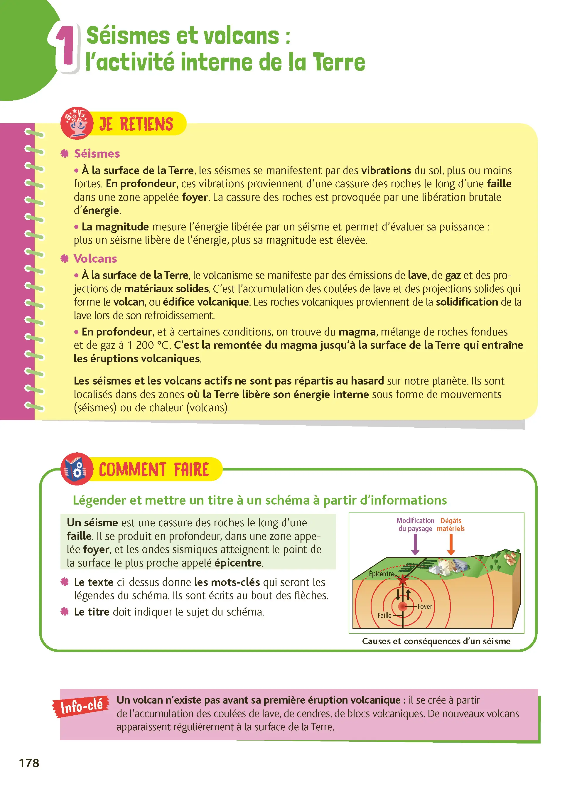 Je comprends tout 5e - Toutes les matières - Français, Maths, Histoire-Géo, Physique-Chimie, SVT, Anglais - Cahier d'exercices - 9782095059439 - page intérieure 007