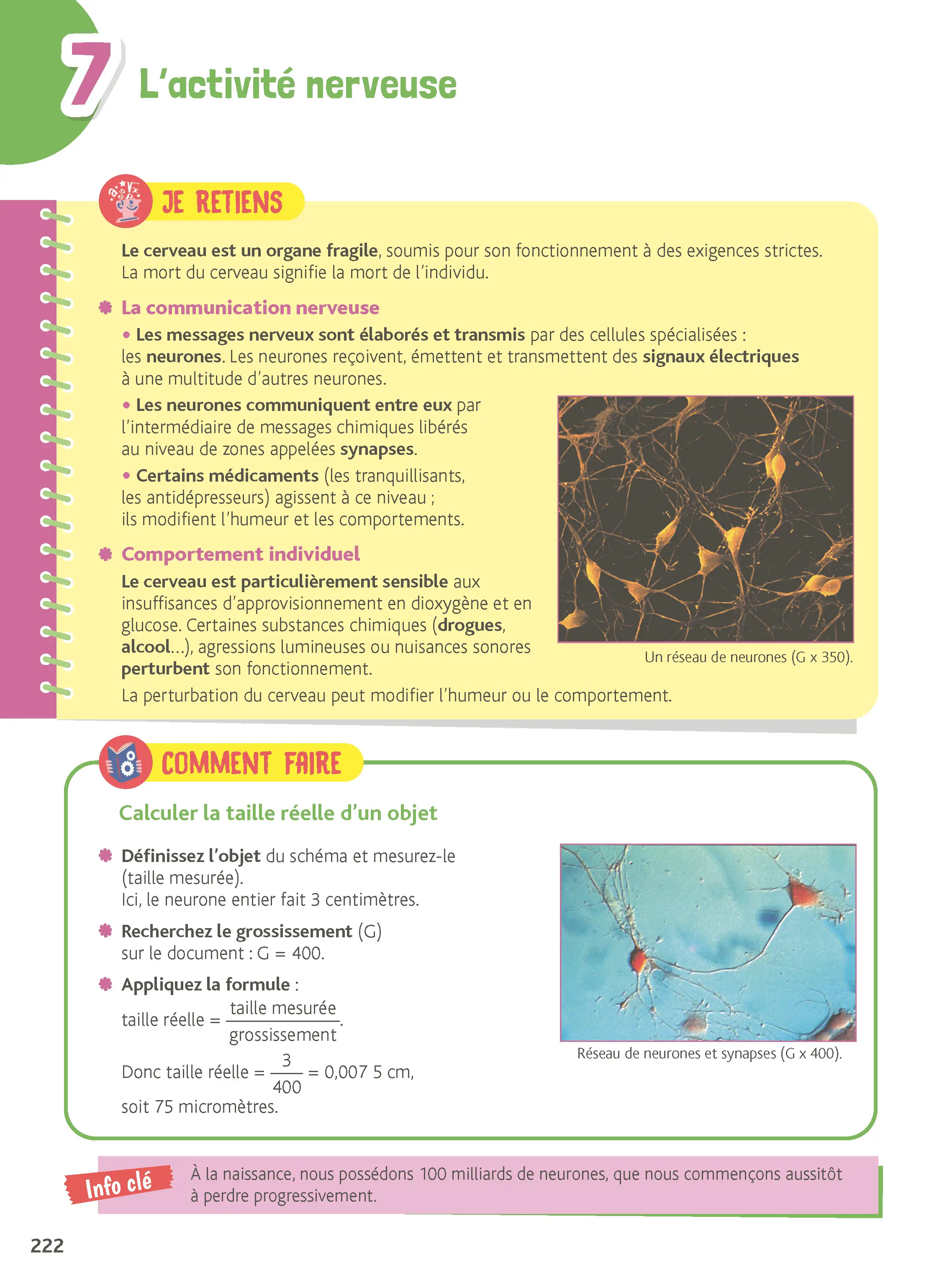 Je comprends tout 4e - Toutes les matières - Français, Maths, Histoire-Géo, EMC, SVT, Physique-Chimie, Anglais - Cahier d'exercices - 9782095059446 - page intérieure 007