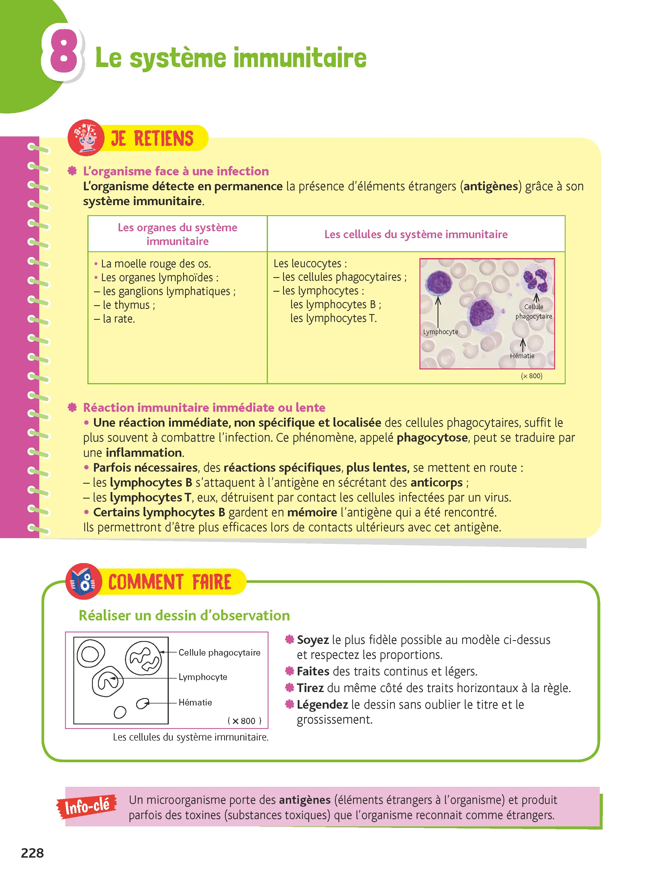 Je comprends tout 3e - Brevet 2027 - Toutes les matières - Français, Maths, Histoire-Géo, EMC, SVT, Physique-Chimie, Technologie, Anglais  - Cahier d'exercices - 9782095059453 - page intérieure 007