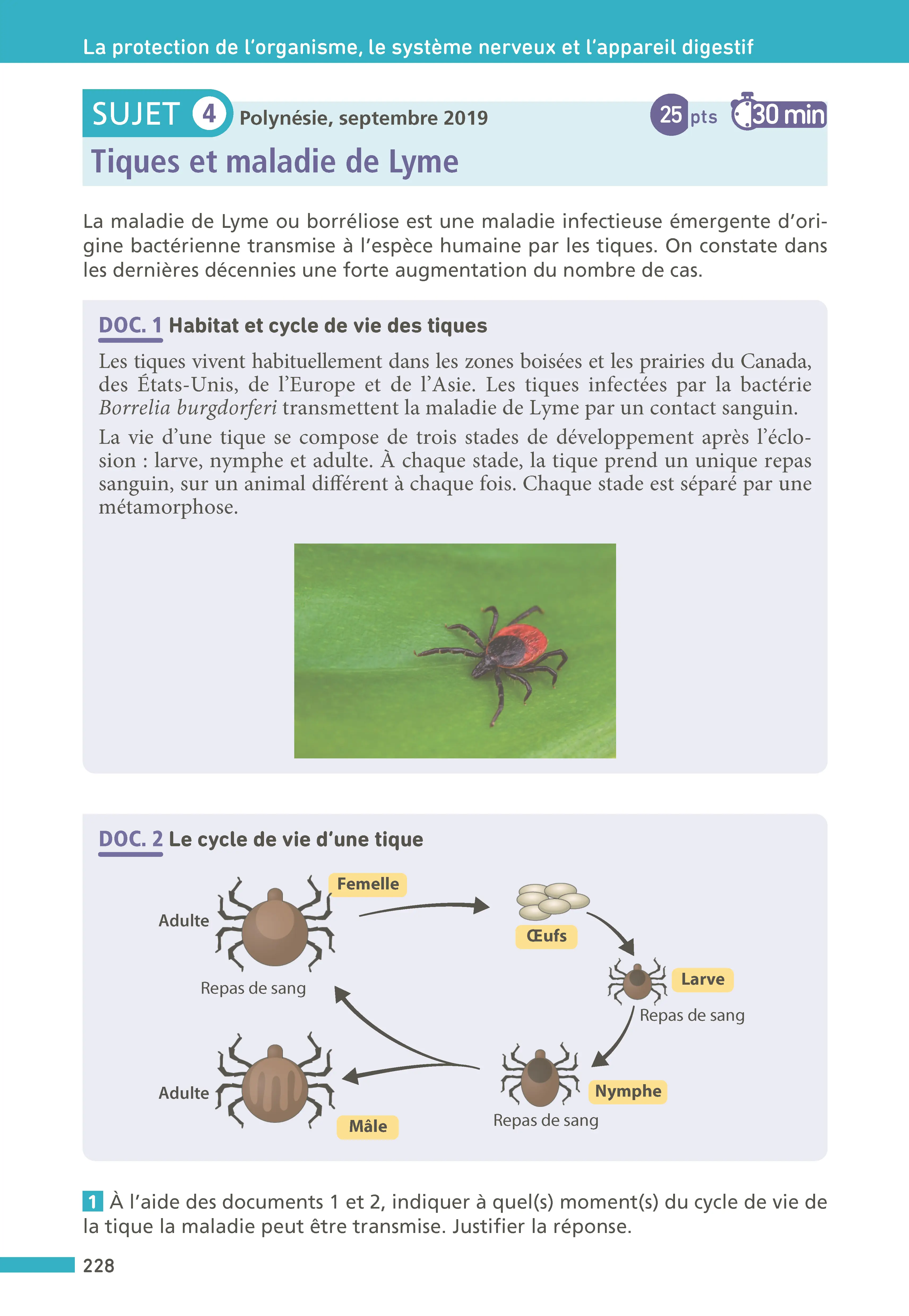 Maxi-Annales ABC du Brevet 2027 - Toutes les matières 3e : Maths - Français - Histoire-Géographie EMC - Physique-Chimie - SVT - Techno - Oral - 100 Sujets et corrigés, fiches de révision, automatismes - Annales - 9782095065003 - page intérieure 007