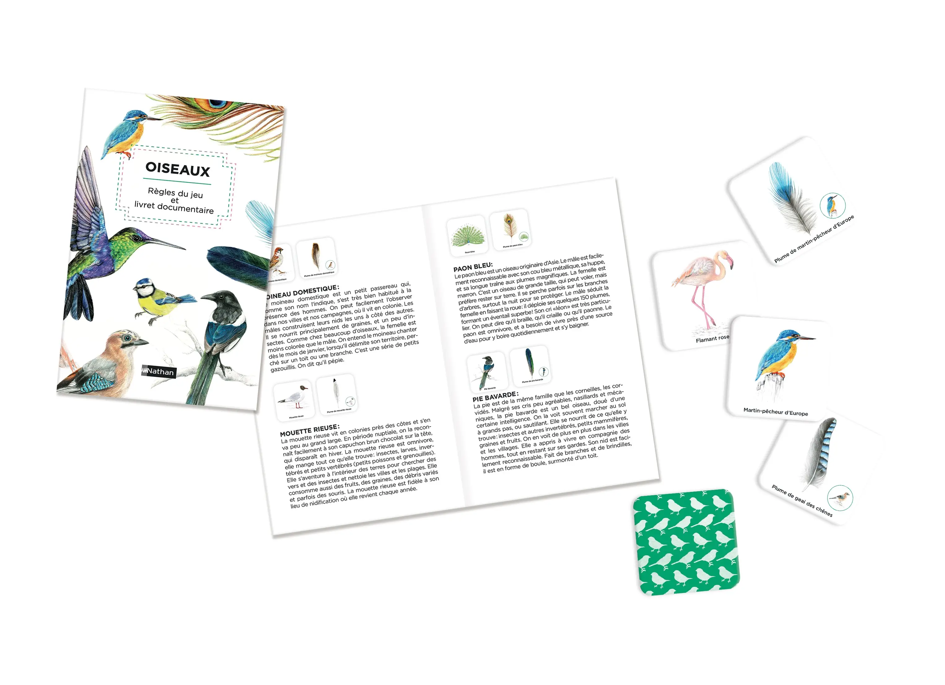 Mémo des oiseaux - Un jeu de memory pour apprendre en s'amusant en famille - Dès 4 ans - Coffret - 3133092496196 - page-interieure 01
