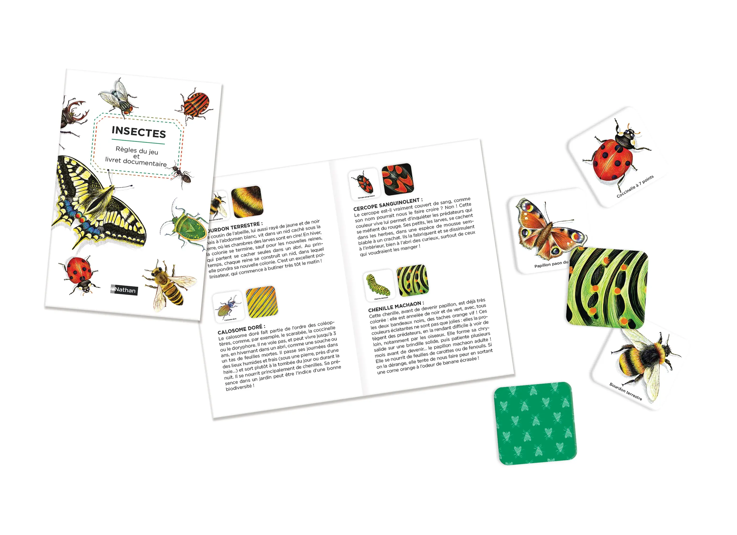 Mémo des insectes - Un jeu de memory pour apprendre en s'amusant en famille - Dès 4 ans - Coffret - 3133092791222 - page-interieure 01