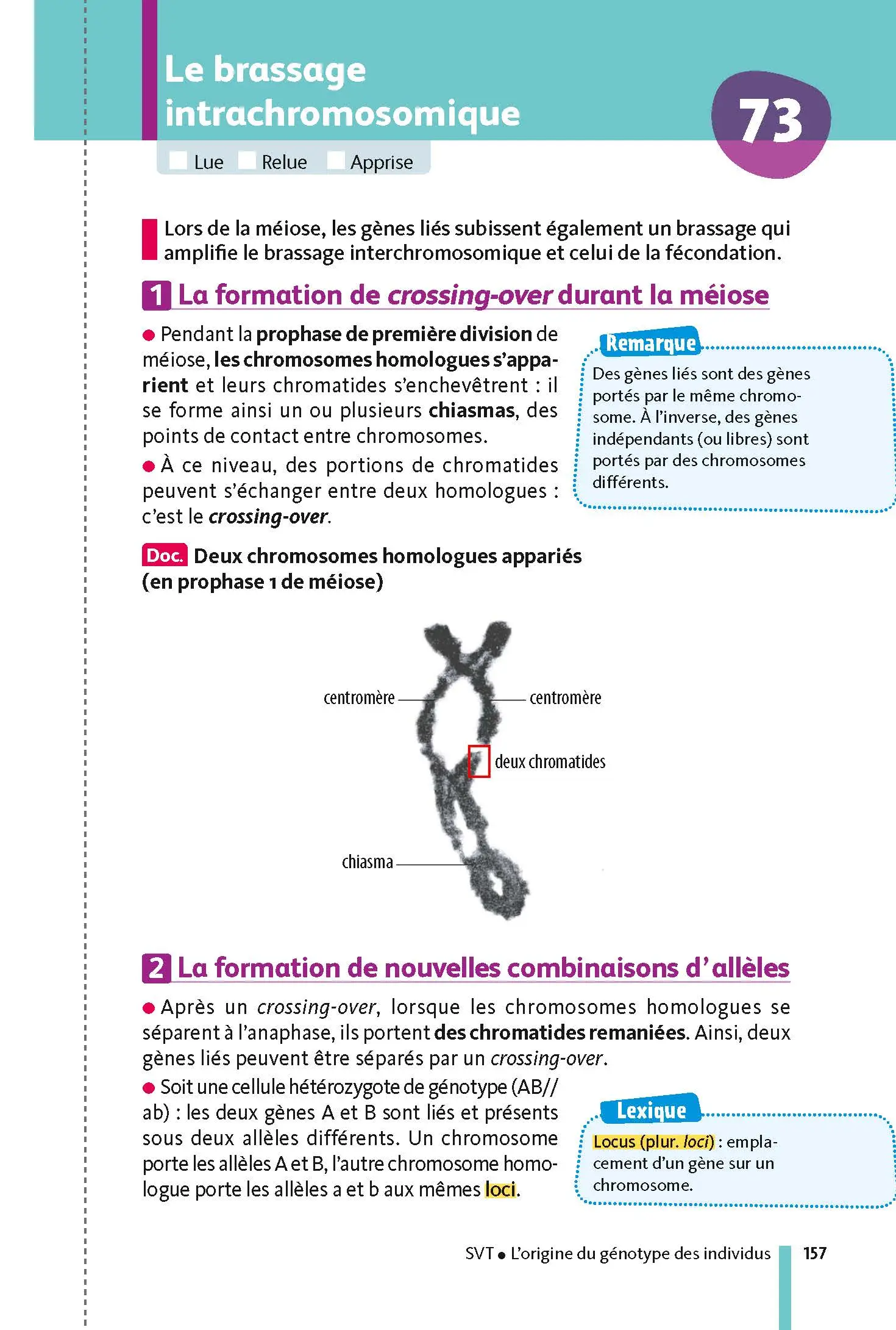 Mes spécialités Mathématiques / SVT (Sciences de la vie et de la Terre) - Ma Compil fiches BAC Term - Bac 2027 - Fiches - 9782091575827 - page intérieure 01