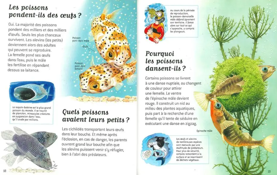 La vie des animaux - Questions/Réponses - doc dès 7 ans - Livre documentaire - 9782092495414 - page-interieure 01