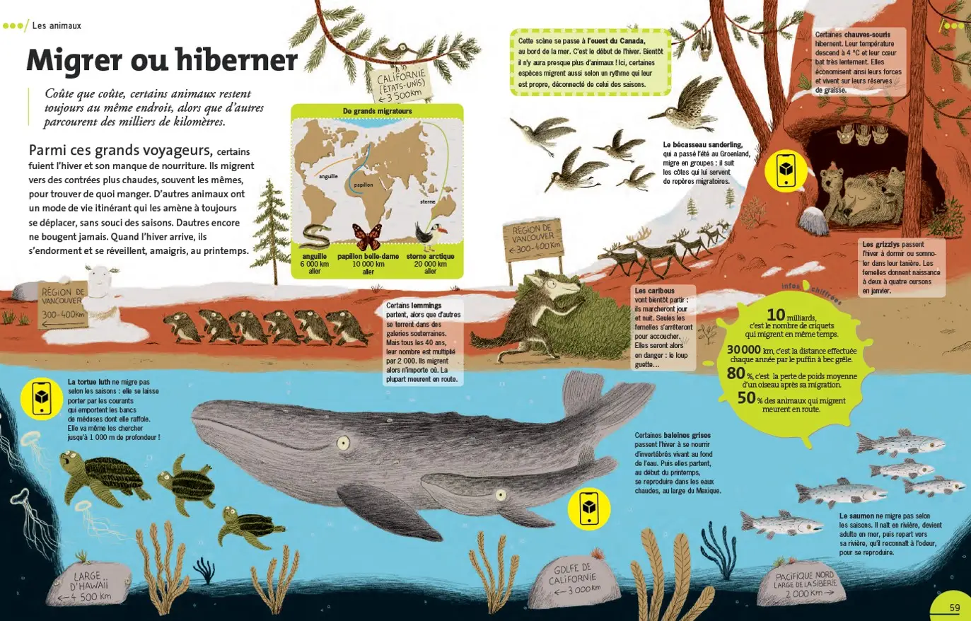 Mon encyclopédie Dokéo - Avec 27 animations en réalité augmentée - 6/9 ans - Livre documentaire - 9782092593264 - page intérieure 01