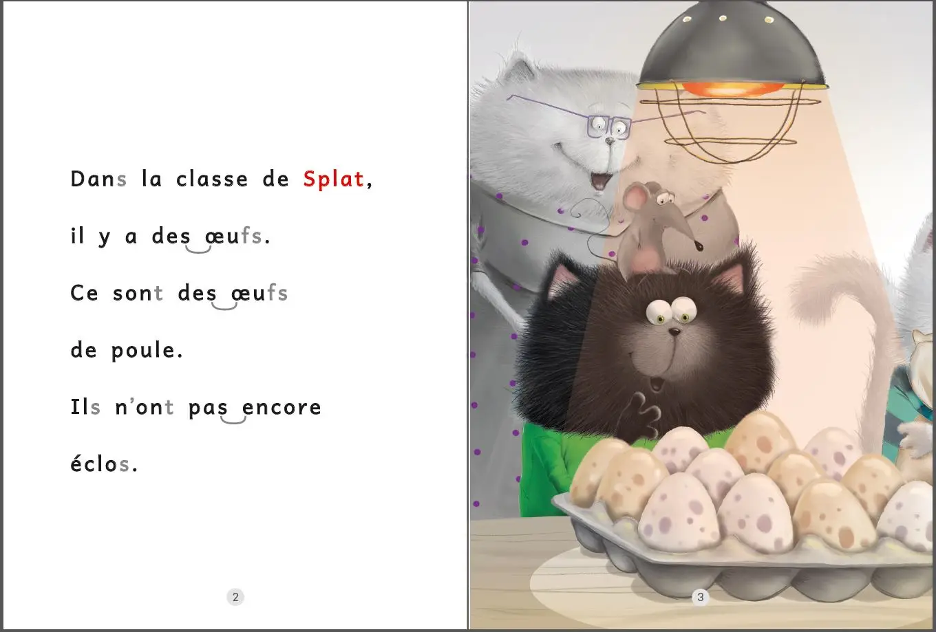 Le poussin perdu - Je lis avec Splat -  niveau 2 - Dès 6 ans - Roman - 9782092594766 - page-interieure 01