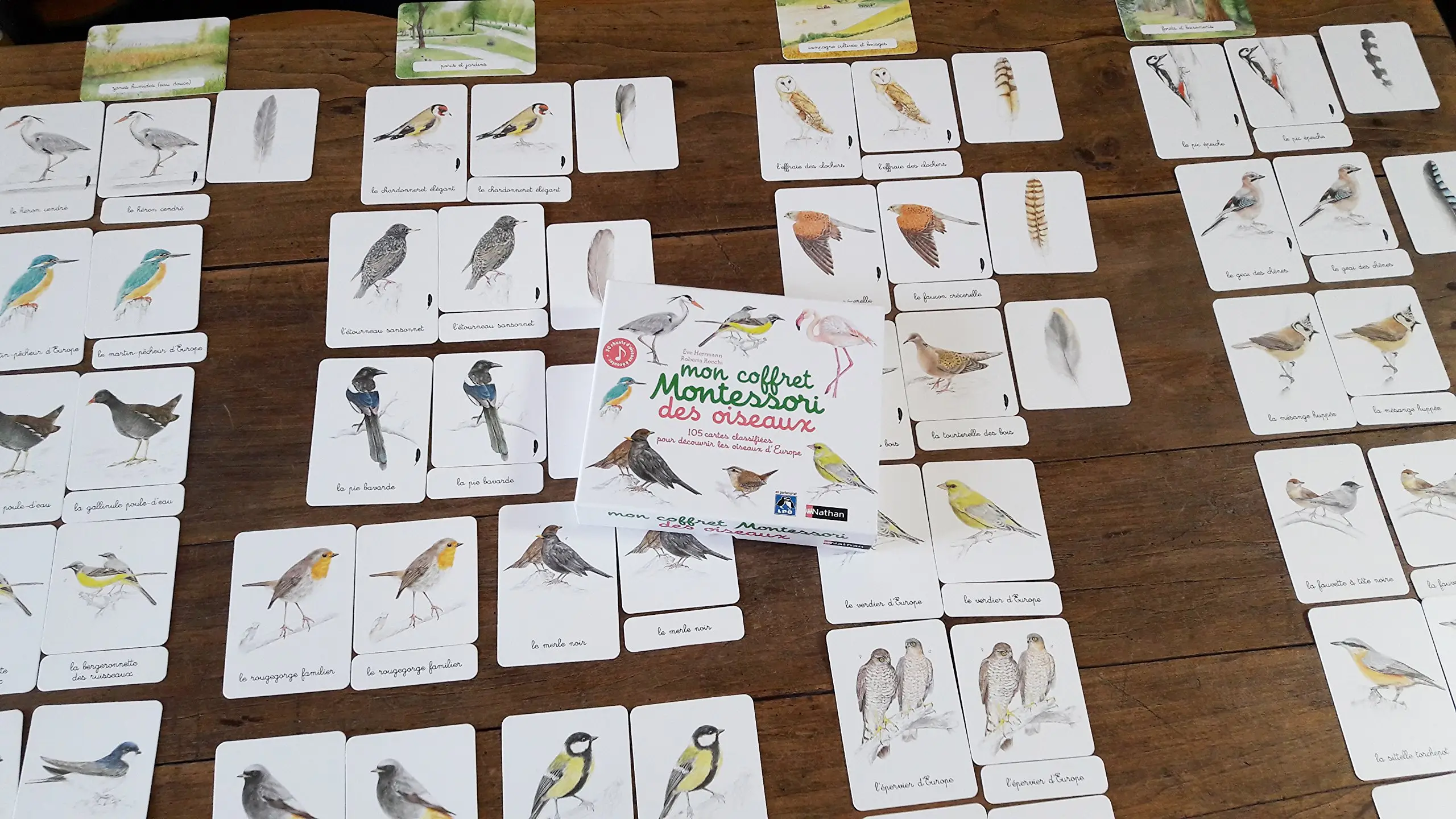 Mon Coffret Montessori des Oiseaux - Dès 3 ans - Coffret - 9782092788387 - page-interieure 01