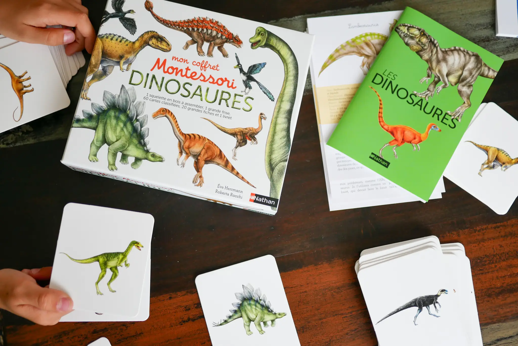 Mon coffret Montessori dinosaures - Dès 5 ans - Coffret - 9782092789544 - page-intérieure 01
