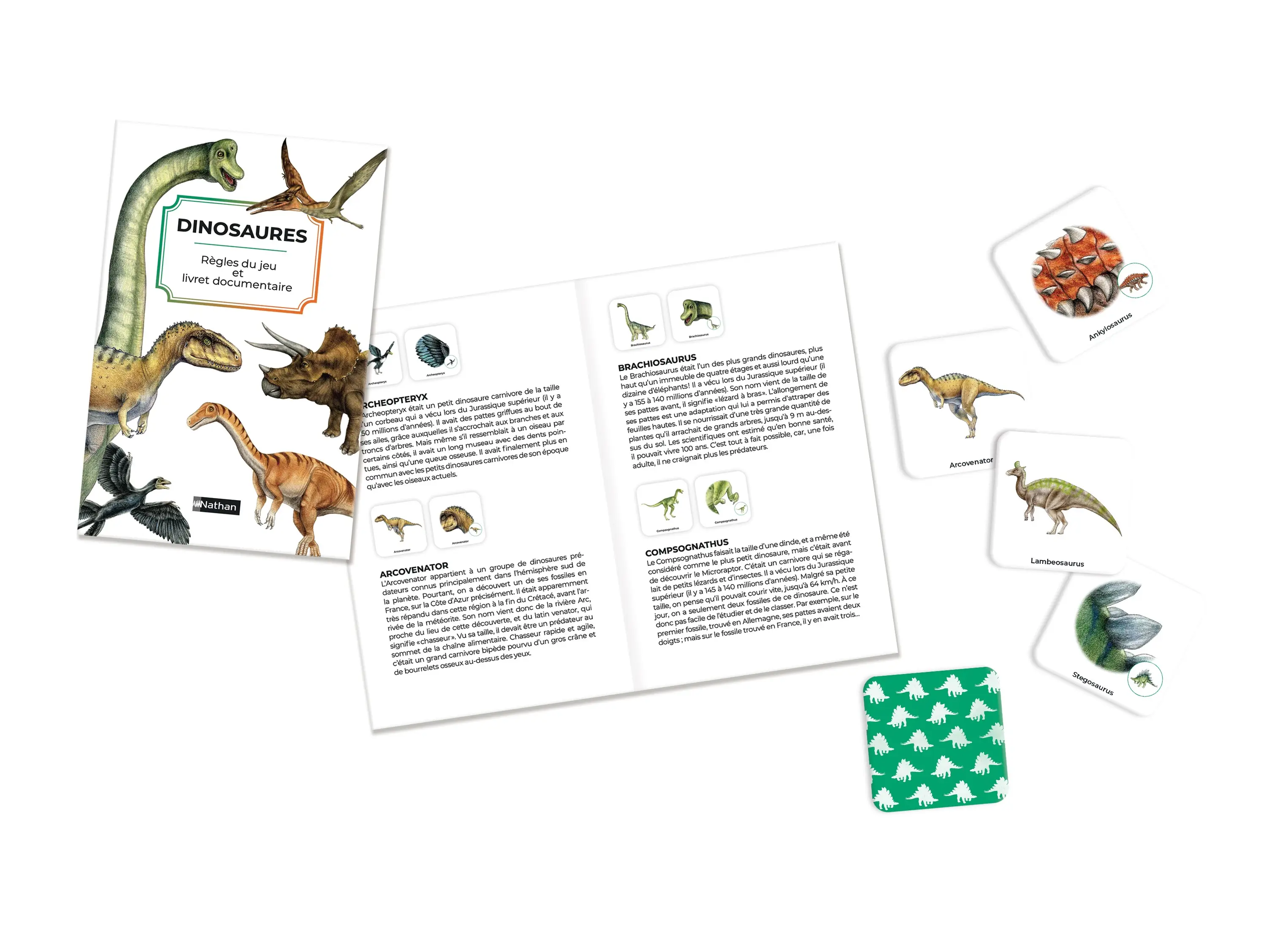 Mémo des dinosaures - Un jeu de memory pour apprendre en s'amusant en famille - Dès 4 ans - Coffret - 9782095013653 - page-interieure 01