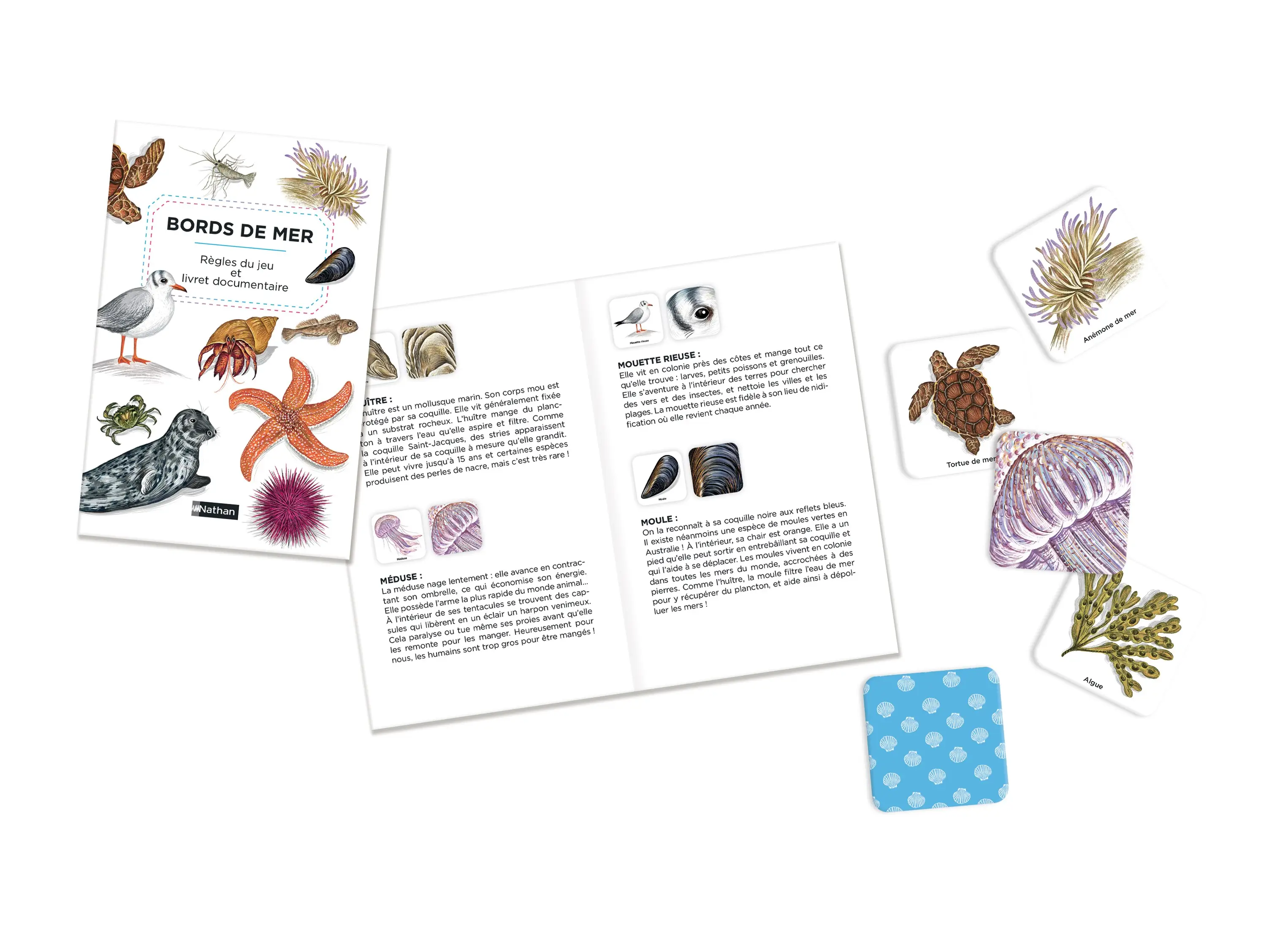 Mémo des bords de mer - Un jeu de memory pour apprendre en s'amusant en famille - Dès 4 ans - Coffret - 9782095013981 - page-interieure 01