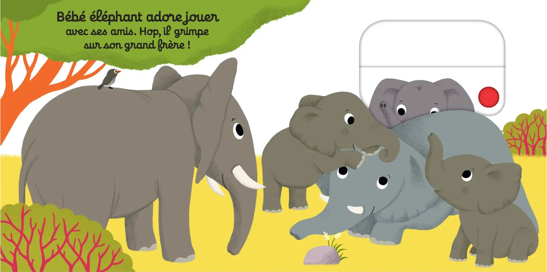 On s'amuse, petit éléphant ? - Histoire animée Kididoc, dès 1 an - Livre documentaire - 9782095019242 - page-interieure 01